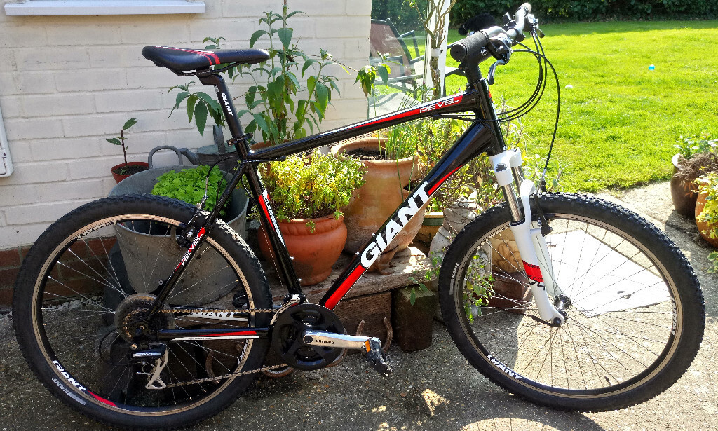 giant revel xl